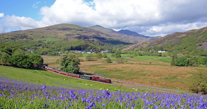 Welsh Highland Railway with bluebells in the foreground and mountains behind