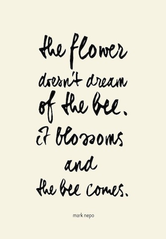 the flower doesn't dream of the bee quote