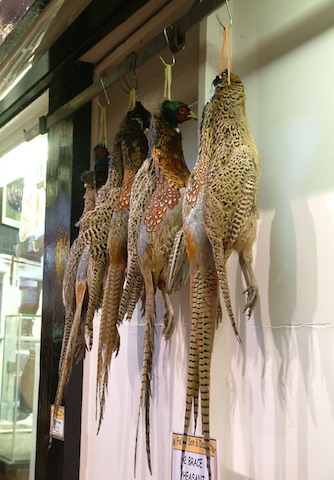 Brace of Pheasant