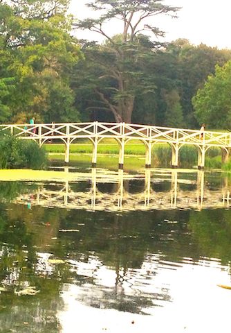 Pooh Sticks Bridge Painshill Park Surrey