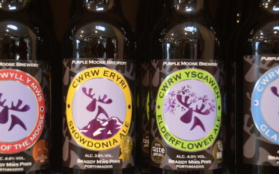 Taste Welsh Mountain Ales at Porthmadog’s Purple Moose Brewery