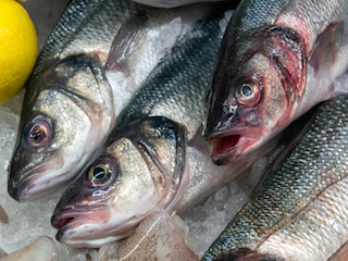 fresh fish on display