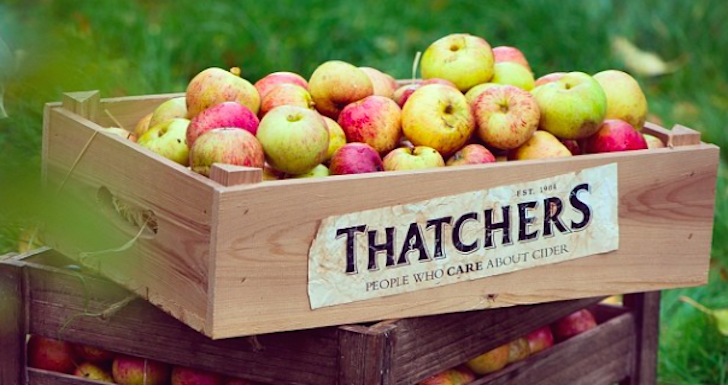 Thatchers Cider Apple Crate