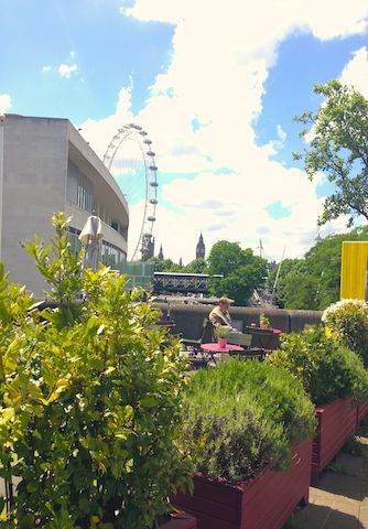 London Eye and Big Ben from Queen Elizabeth Hall Roof Garden London