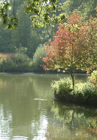 RHS Garden Wisley Surrey - The Foodie Travel Guide