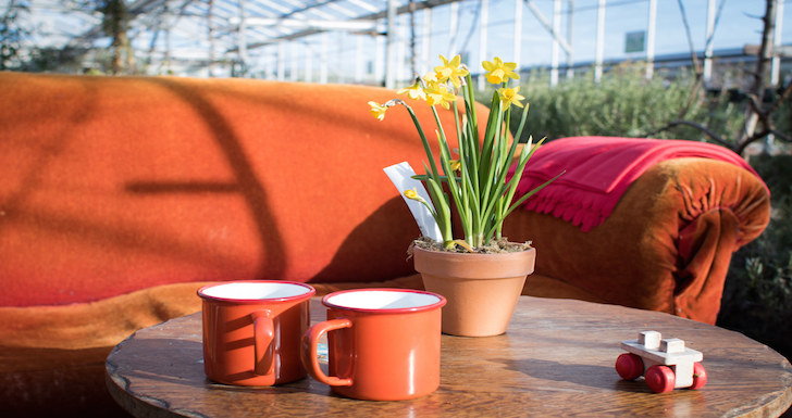 Secret Herb Garden Edinburgh