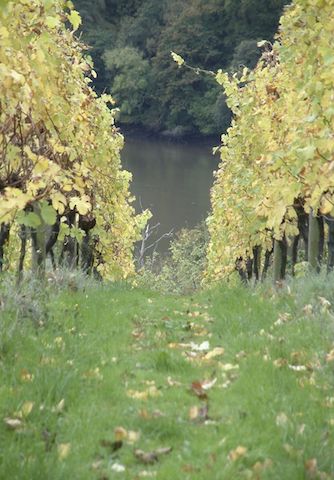 View Sharpham Vineyard River Dart