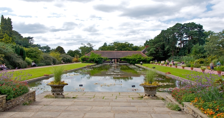 View of the pond at RHS Garden Wisley Surrey