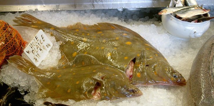 Fresh Plaice on display at the fish counter
