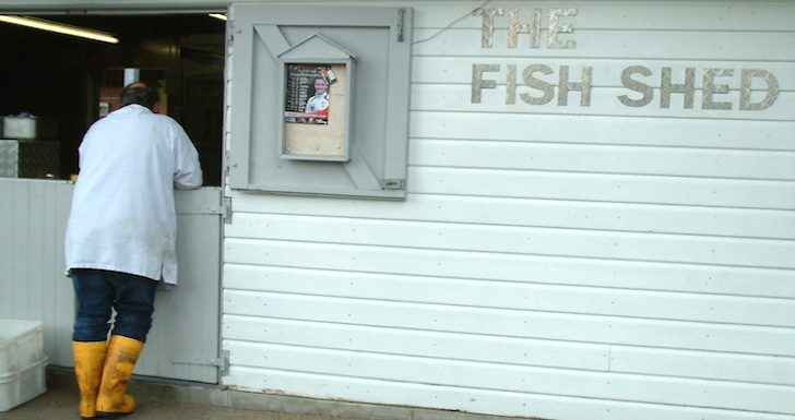 Fisherman delivery his catch to the fish shed in Topsham