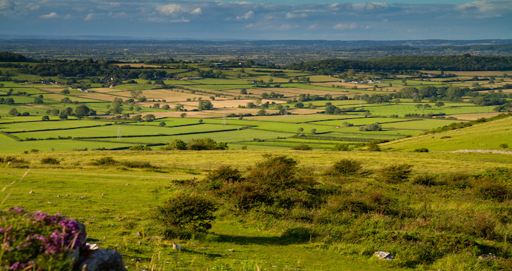 View of the Somerset Levels on the Cider Trail