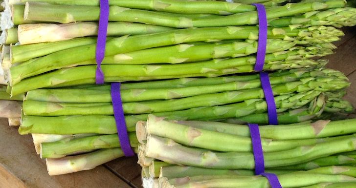 See British asparagus growing in Formby