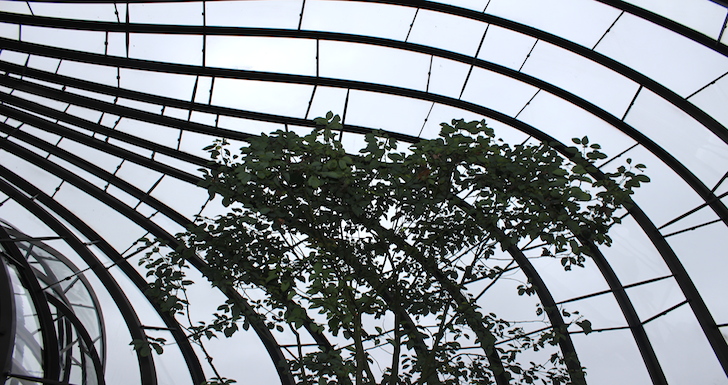 Botanical Glasshouses designed by Thomas Heatherwick