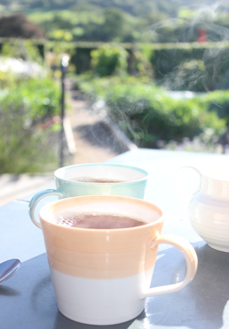 Tea on The Terrace