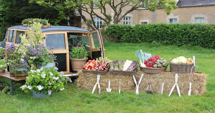 Plants and Veg display Daylesford Summer Fair