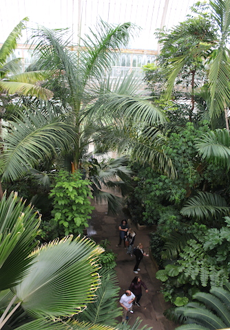 Palm House Royal Botanic Gardens Kew