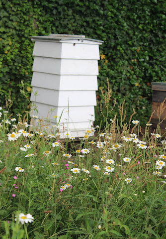 beehive Kew Kitchen Garden