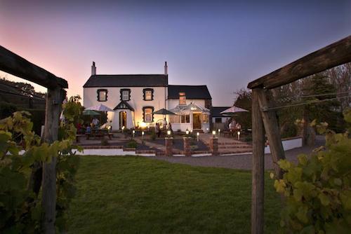 Llanerch Vineyard Hensol Wales