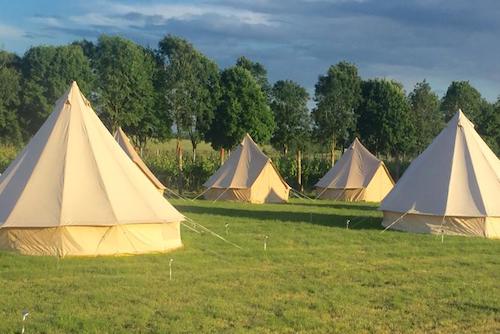 Tinwood Vineyard Glamping Boxgrove Chichester