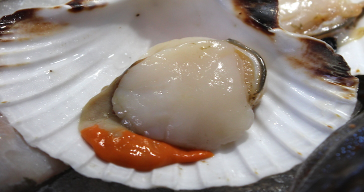 Fresh scallop in shell Rye Scallop Festival East Sussex