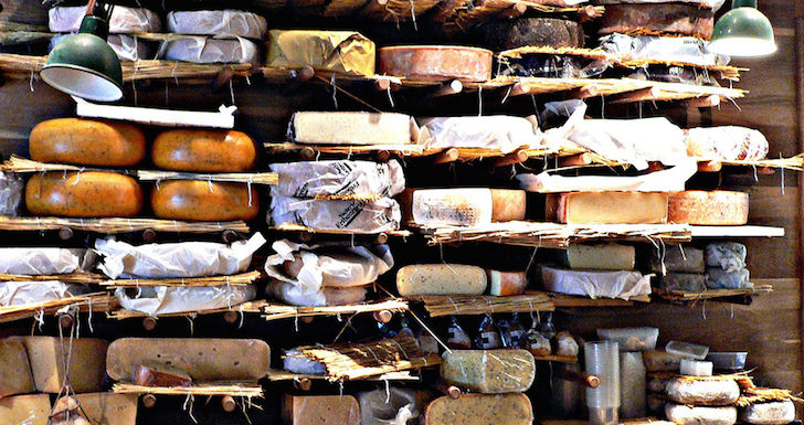 Artisan cheeses on display in a London cheese shop