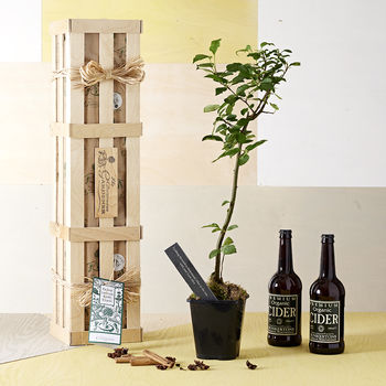 Apple tree and cider gift set