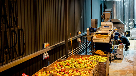 Cider making facilities Hawkes Cidery London