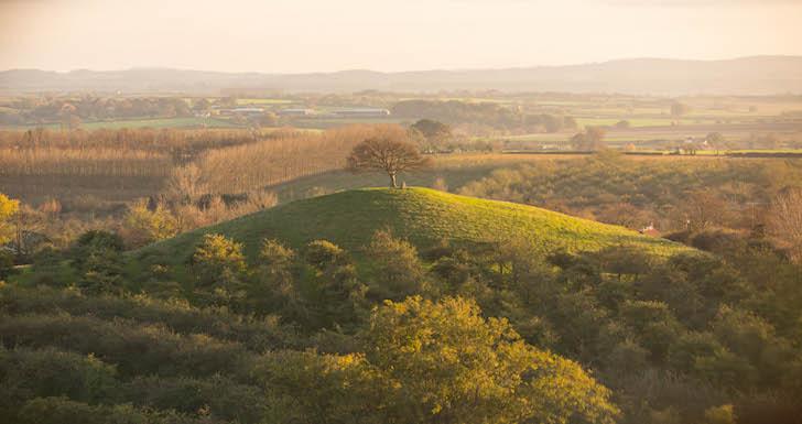 Aerial view of Burrow Hill Cider Farm Somerset