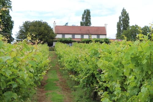 Three Choirs vineyard hotel and restaurant Newent Gloucestershire